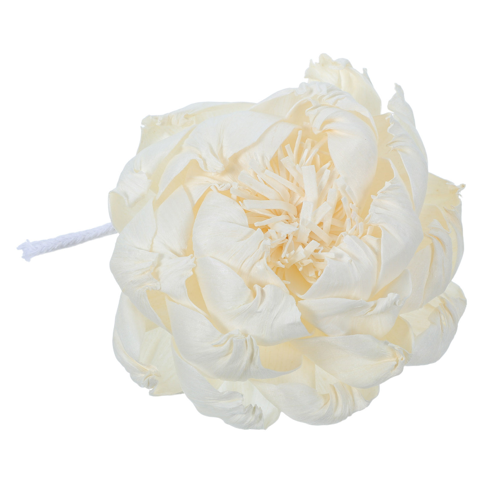 Peony Head Fragrance Diffuser  - Home Fragrance Essential Oils recension och pris